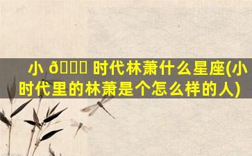 小 🍀 时代林萧什么星座(小时代里的林萧是个怎么样的人)